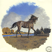 Horse - Trotter